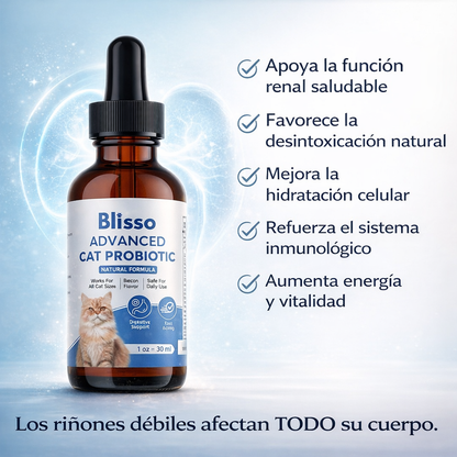BlissoPet | Probiótico Avanzado para Gatos