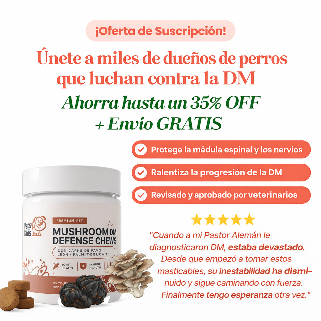 Conoce el suplemento #1 recomendado por veterinarios para DM