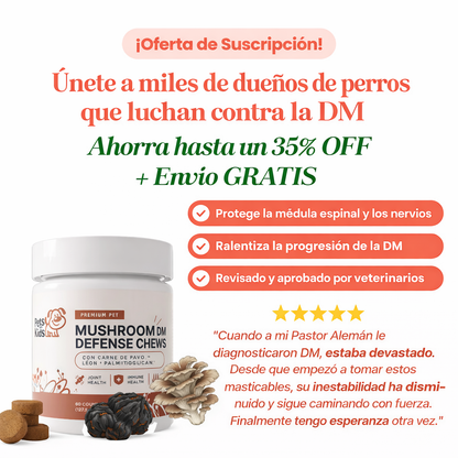 Conoce el suplemento #1 recomendado por veterinarios para DM