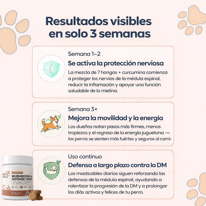 Conoce el suplemento #1 recomendado por veterinarios para DM