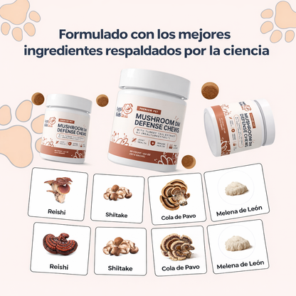 Conoce el suplemento #1 recomendado por veterinarios para DM