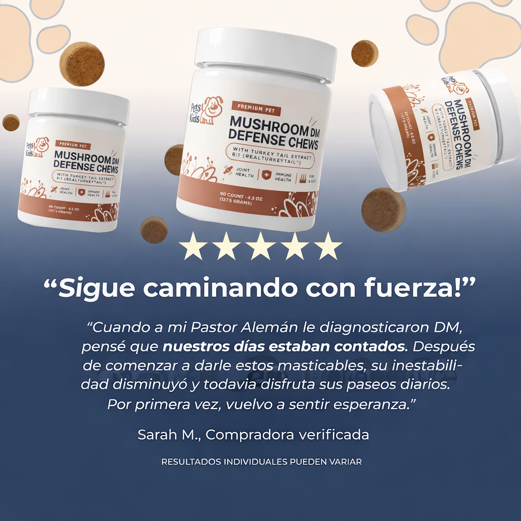 Conoce el suplemento #1 recomendado por veterinarios para DM