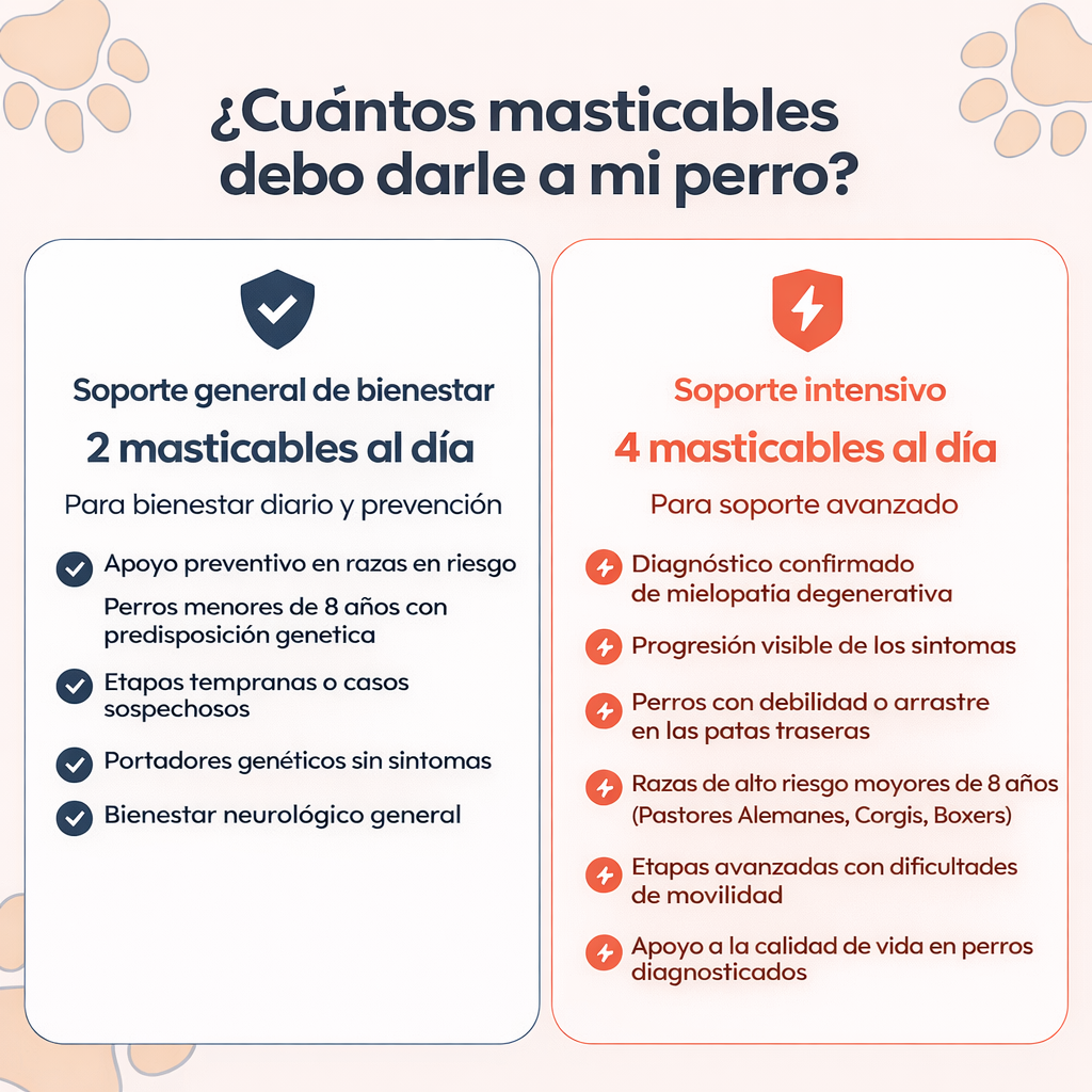 Conoce el suplemento #1 recomendado por veterinarios para DM