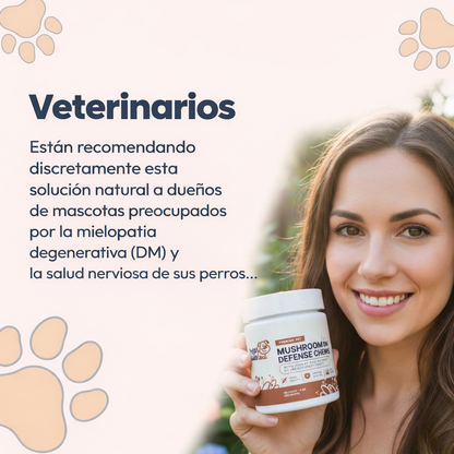 Conoce el suplemento #1 recomendado por veterinarios para DM