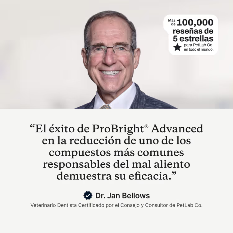 Conoce el premiado ProBright® Advanced