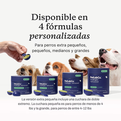 Conoce el premiado ProBright® Advanced