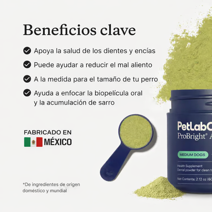 Conoce el premiado ProBright® Advanced