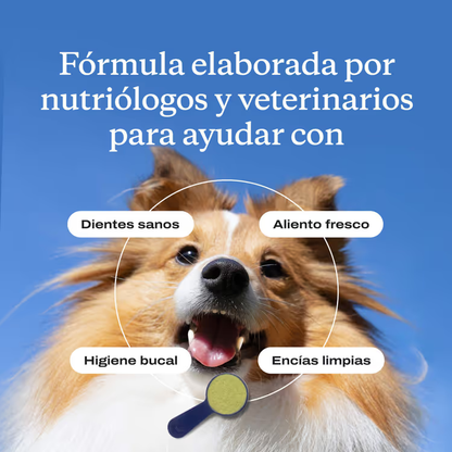 Conoce el premiado ProBright® Advanced