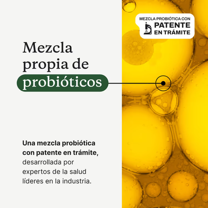 Conoce el premiado ProBright® Advanced