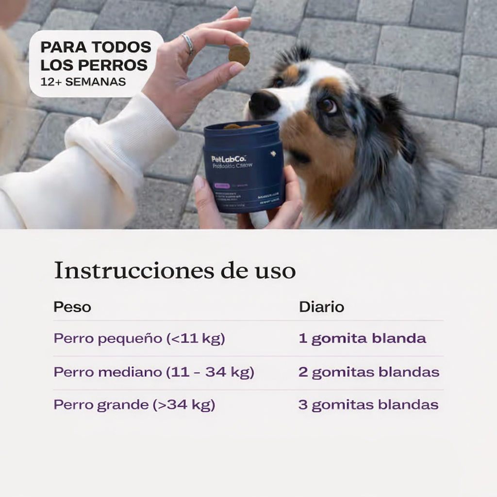 Conoce el primer probiótico masticable suave para perros clínicamente estudiado