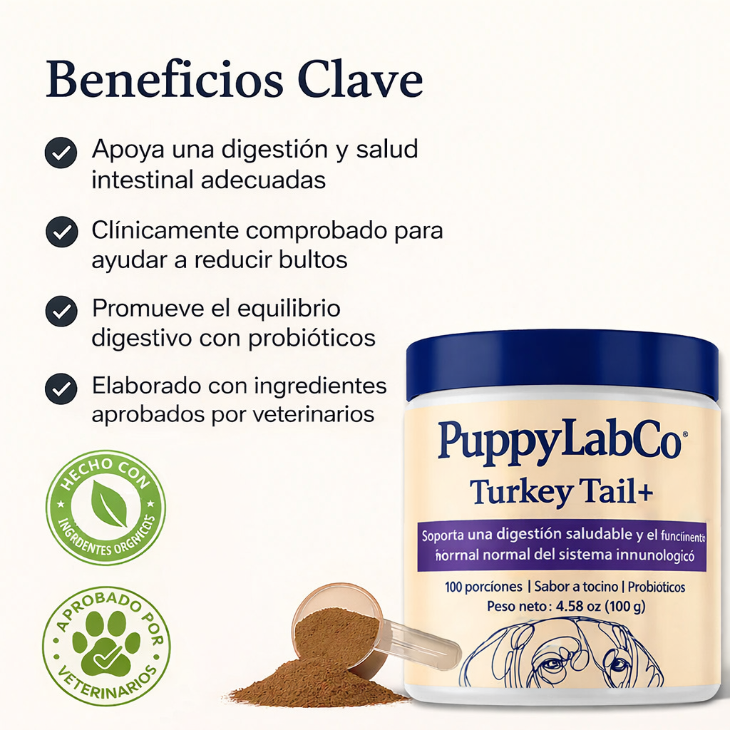 Fórmula TurkeyTail+ Probióticos™