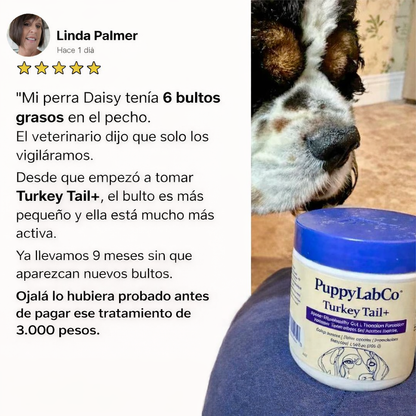 Fórmula TurkeyTail+ Probióticos™