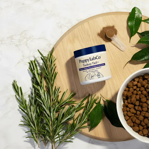 Fórmula TurkeyTail+ Probióticos™