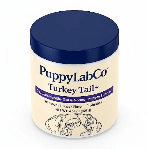 Fórmula TurkeyTail+ Probióticos™