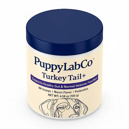 Fórmula TurkeyTail+ Probióticos™