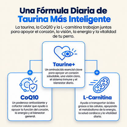 PureTaurine+ | Apoyo para Perros